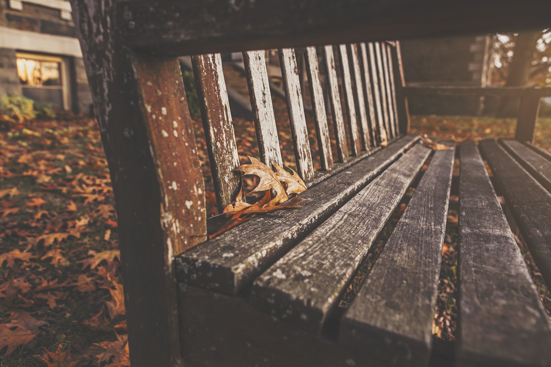 A wooden bench surrounded with fall leaves