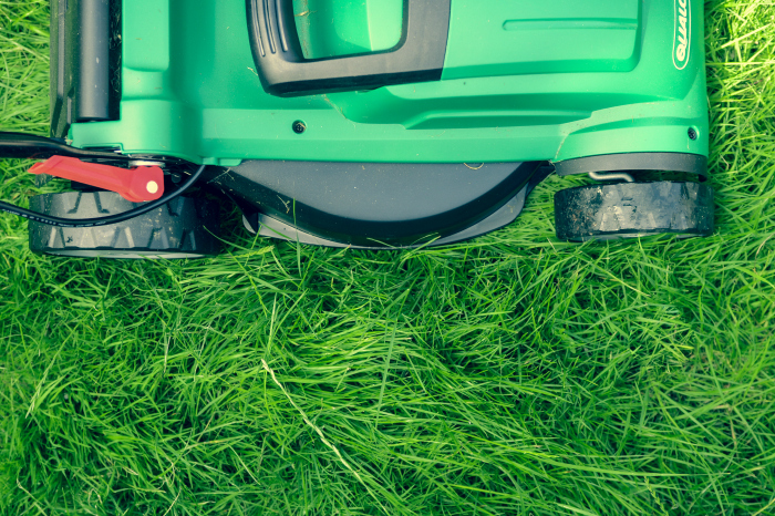 Urban Acres Lawn Care Tips
