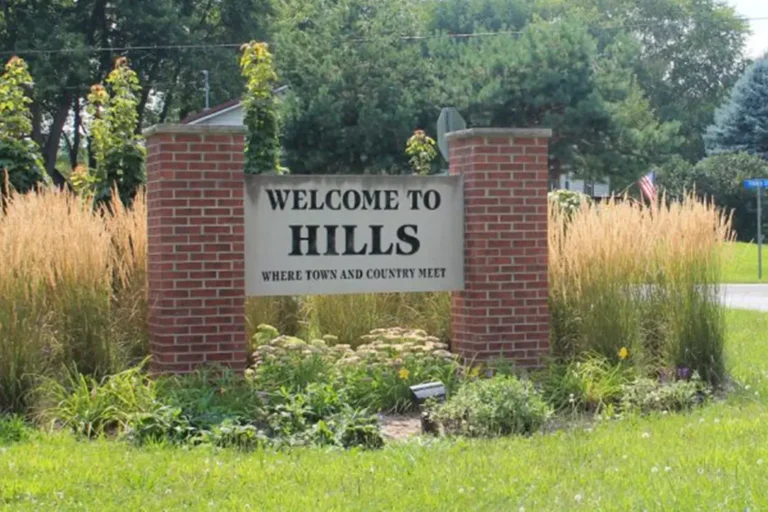 Hills.webp