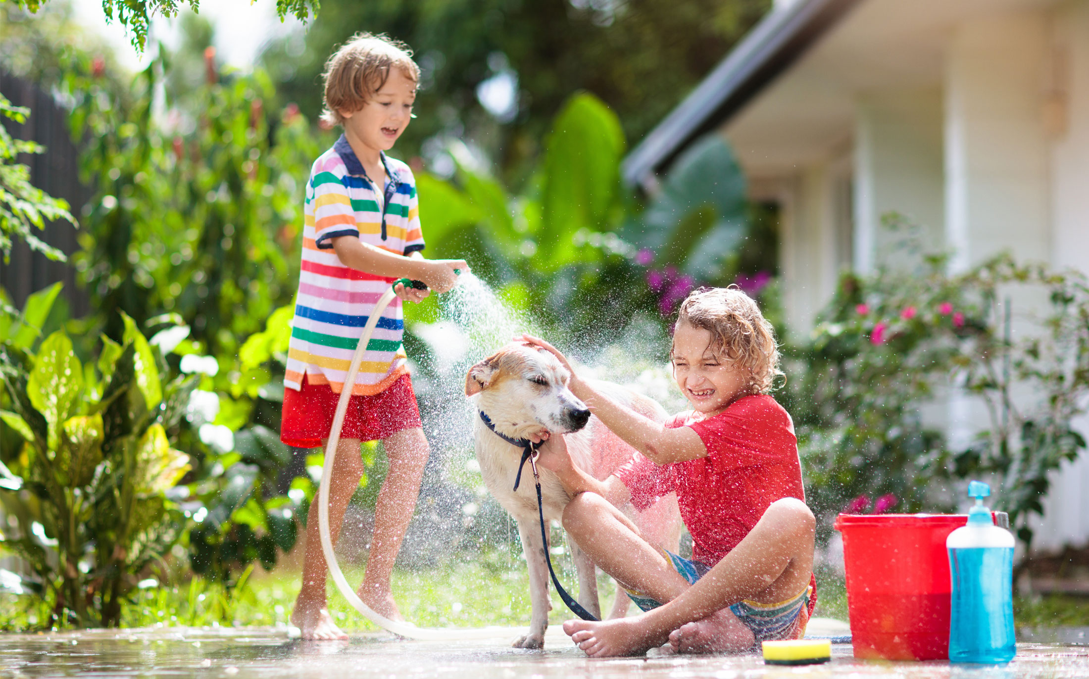 Two boys washing dog outside