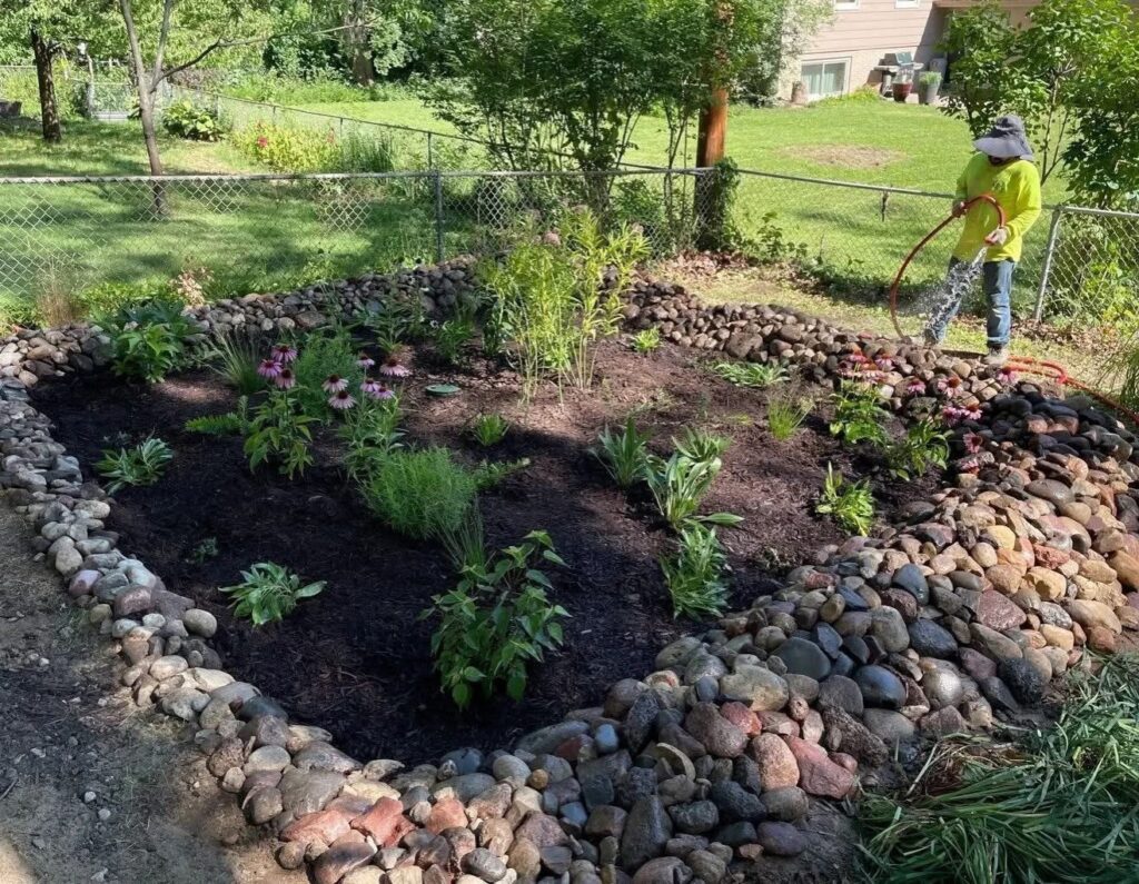 Rain garden in a backyard 