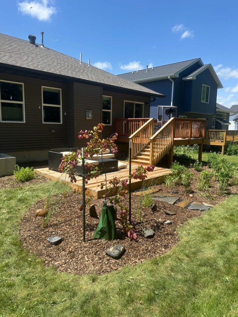 Newly planted tree in the backyard of a brown house