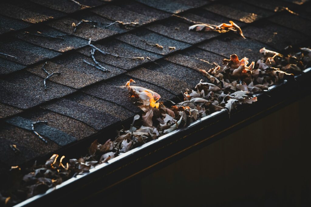Rooftop of a home with gutters clogged with leaves