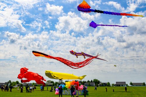 Kites flying during the Let Love Fly festival in North Liberty, Iowa