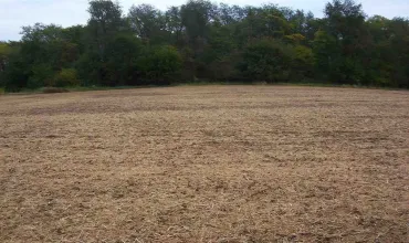 Solon, Iowa 52333, Farm, Sale, MLS #202506475