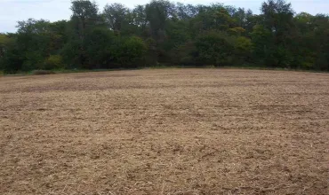 Solon, Iowa 52333, Farm, Sale, MLS #2508639