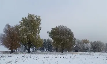 Mt Vernon, Iowa 52314, Farm, Sale, MLS #2600550