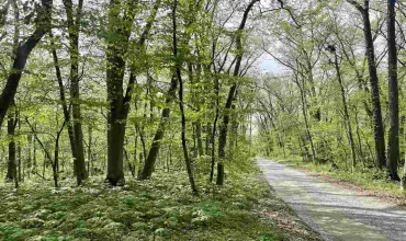 Tiffin, Iowa 52340, Lots/Land, Sale, MLS #202601109