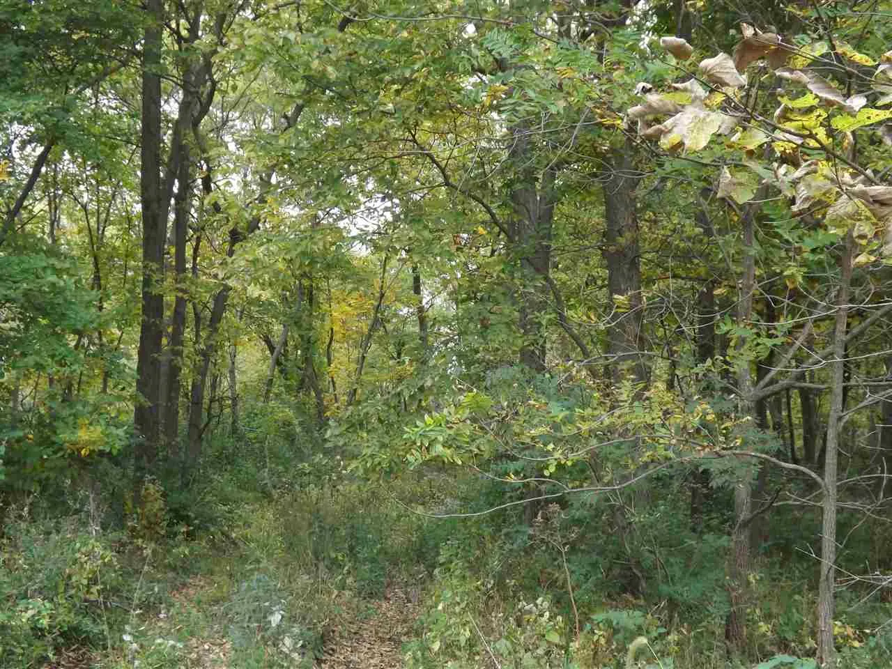 RR G Avenue, North English, Iowa 52316 – Property Featured Image