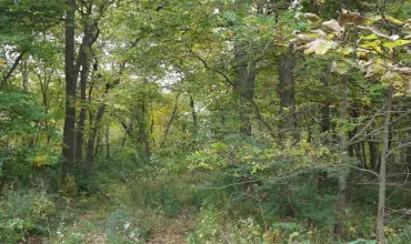 North English, Iowa 52316, Farm, Sale, MLS #202602983