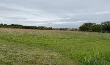 Sigourney, Iowa 52591-1002, Farm, Sale, MLS #202603461