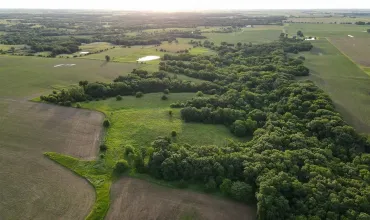 Stockport, Iowa 52651, Farm, Sale, MLS #202603864