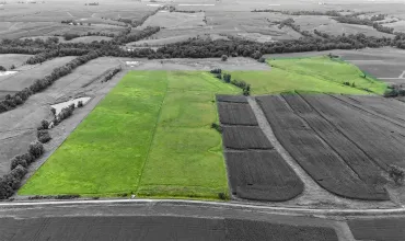 Wellman, Iowa 52356, Farm, Sale, MLS #202604332