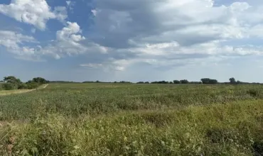 Keswick, Iowa 50136, Farm, Sale, MLS #202605459