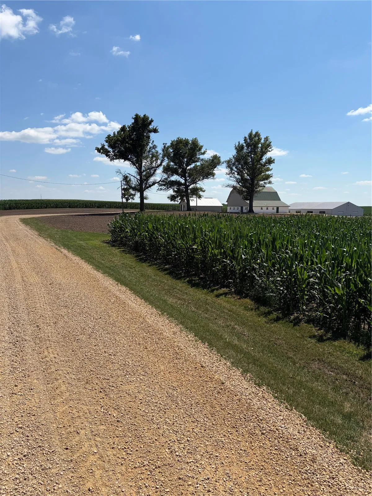 4975 240th Street, Walcott, Iowa 52773 – Property Featured Image