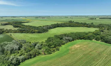 Greeley, Iowa 52050, Farm, Sale, MLS #2606966