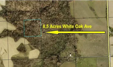 Solon, Iowa 52333, Lots/Land, Sale, MLS #202606131