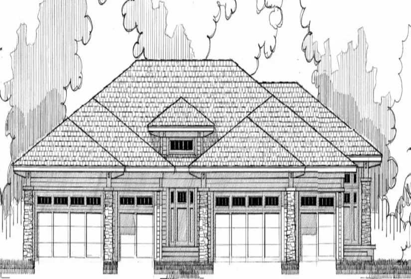 Concept Elevation Only