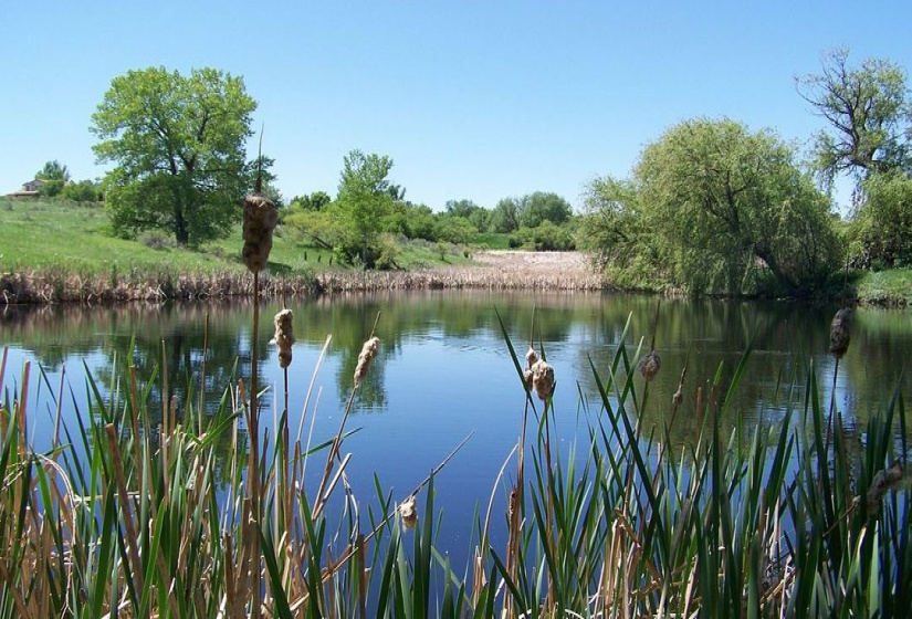 Private owned pond with walking trail access