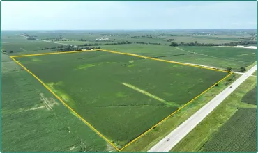 Covington Rd. & Lone Tree Rd., Covington, Iowa 52324, ,Farm,For Sale,Covington Rd. & Lone Tree Rd.,2405729