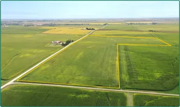 212th Ave., Delhi, Iowa 52223, ,Farm,For Sale,212th Ave.,2406490